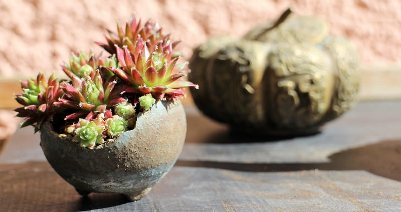 Forest-inspired Accents