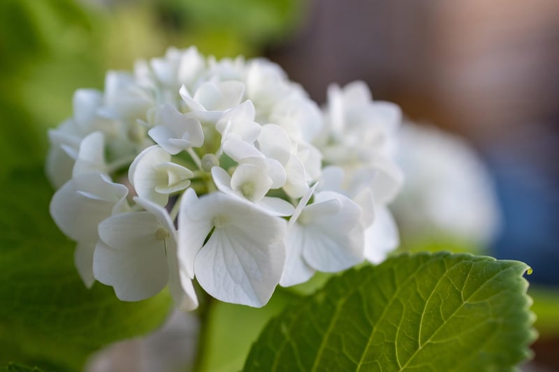 Forest Wedding Flowers